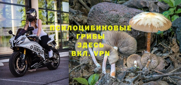 гидра Липки