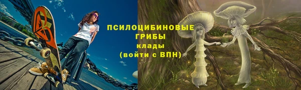 гидра Липки