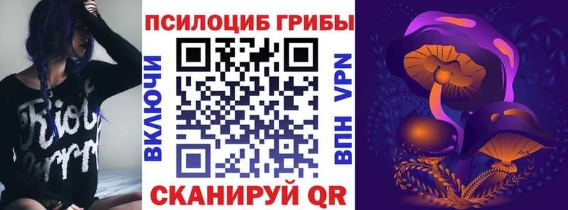 Галлюциногенные грибы мицелий  Купить  Кумертау 